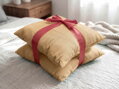Set vankúšikov SOFT Brown