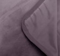 Ľahučká mikro plyšová deka v príjemnej slivkovo fialovej farbe s jednostranný plyšom.
