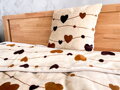 Objavte hrejivý set deky a vankúša LOVE s jemným Mikro Velvet flanelom a romantickým vzorom srdiečok. Ideálny pre pohodlie a romantické večery.