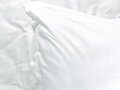 Prírodné posteľné obliečky BOTANICA vyrobené zo 100% prírodného vlákna TENCEL™ Lyocell. Obliečky s výťažkom z eukalyptu v elegantnej bielej farbe s volánom.