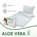 Set paplóna a vankúša ALOE VERA White