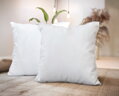 Set vankúšov ALOE VERA white | 40 x 40 cm