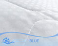 Chladiaci vankúš ARCTIC COOL s obalom zo 100% bavlny s vrstvou chladivých kapsúl. Vonkajšia výplň vankúša z bambusových vlákien podporuje dokonalú priedušnosť a odvod vlhkosti. Možnosť regulácie výšky vankúša, vďaka dvojitému vaku so zipsom.