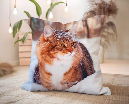 Dekoračný vankúš MAČKA Eli