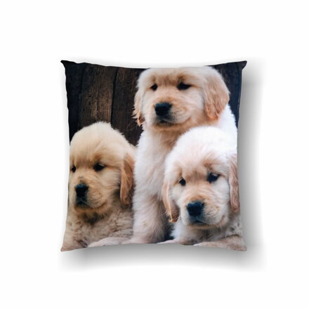Vankúš DOGS