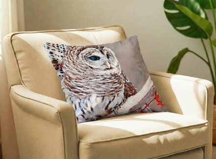 Obliečka na vankúš SOVA Rozárka