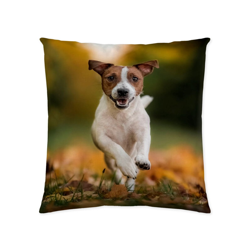 Dekoračný vankúš PES JACK RUSSEL Dekoračný vankúš PES JACK RUSSEL