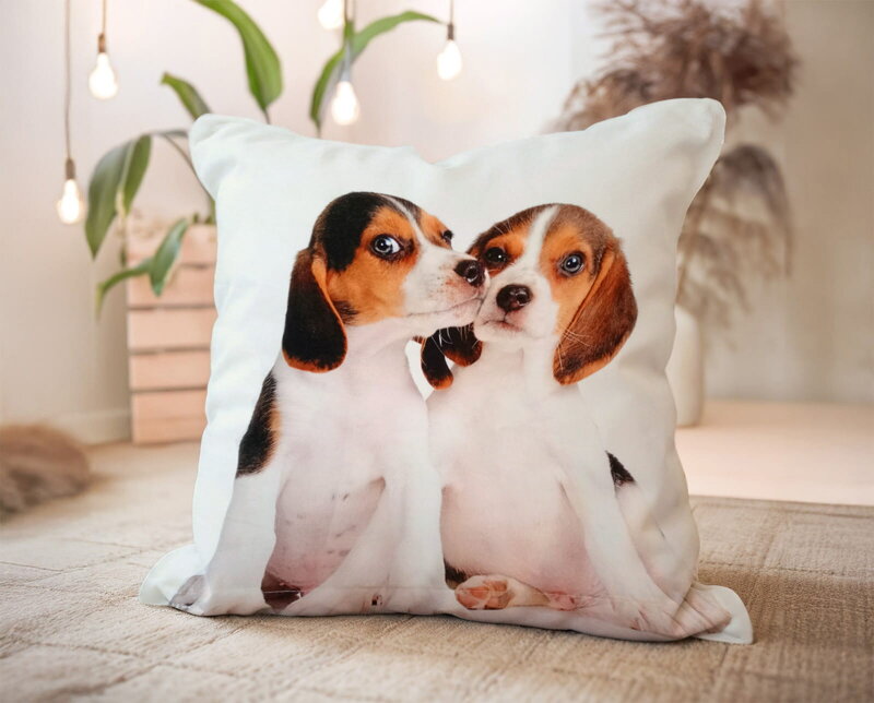 Dekoračný vankúš ŠTENIATKA BÍGL