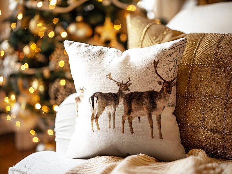 Obliečka na vankúš JELENE